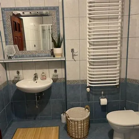 Urokliwy Dom W Nowym Saczu